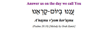 "Anaynu v'yom kor-aynu - Answer us on the day we call You" (Psalm 20:10)