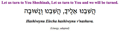 "Hashiveynu Elecha v'nashuva - Let us turn to you Shechinah, Let us turn to You and we will be turned." (Liturgy, adapted)